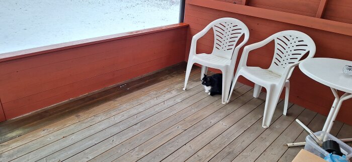 Svartvit katt sitter under en vit plaststol på en träveranda med snö utanför.