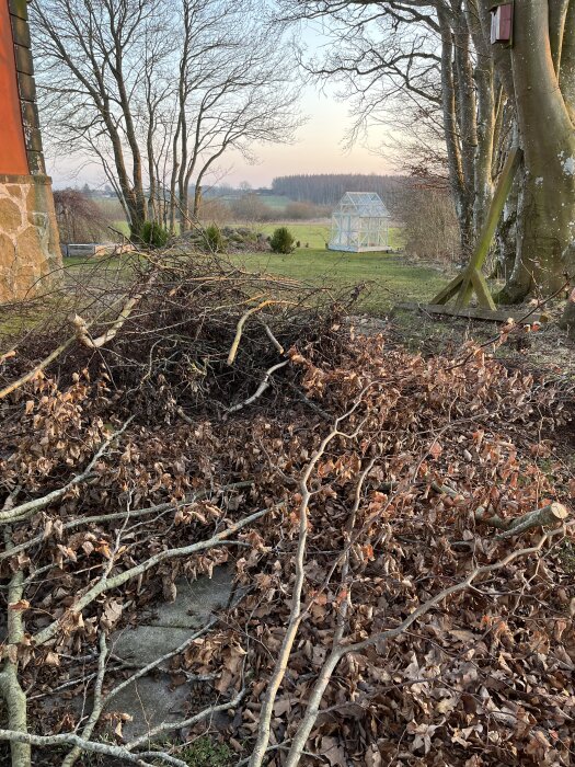 Hög med grenar och löv på en stenlagd yta i en trädgård, med ett växthus i bakgrunden omgiven av träd och öppet landskap.