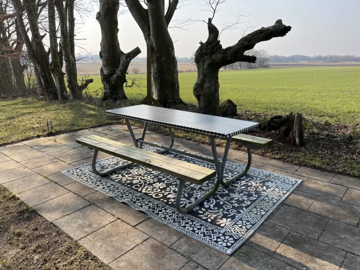 Picknickbord placerat på en uteplats med mönstrad matta under, omgiven av träd och gräsmatta med utsikt över ett öppet landskap.