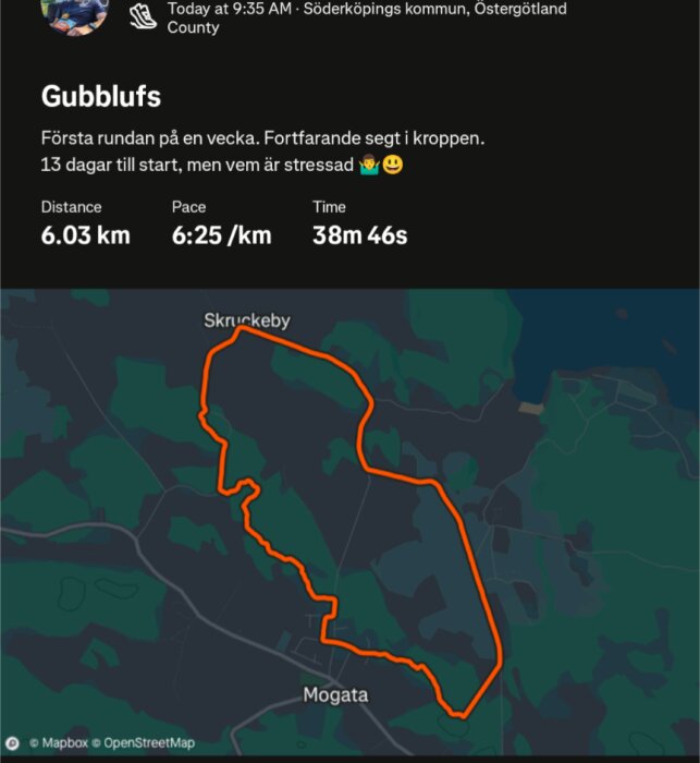 Kartbild med en markerad löprunda på 6,03 km i Söderköpings kommun, med en tid på 38 minuter och 46 sekunder och en hastighet på 6:25 min/km.
