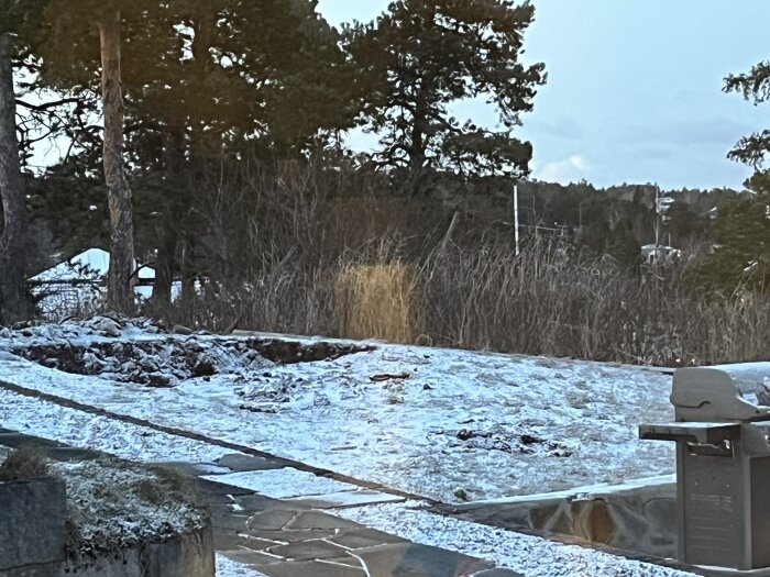 Snötäckt mark med utgrävning och träd i bakgrunden, där höjdskillnaden noteras inför husbygge.