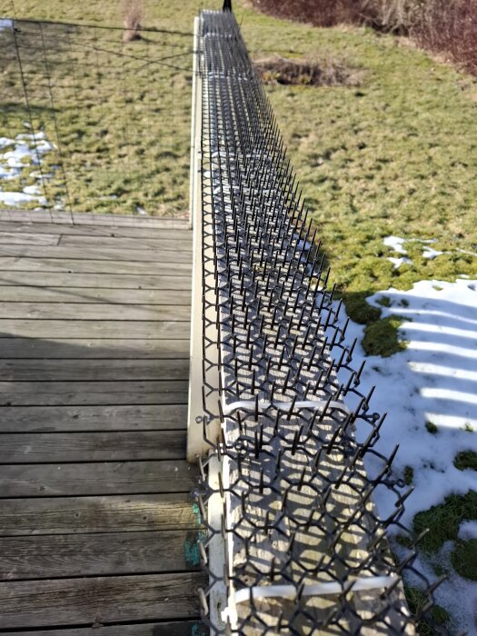Plastpiggar monterade på ett staket för att avskräcka fåglar och katter, omgivna av ett trädäck och gräsyta med snöfläckar.