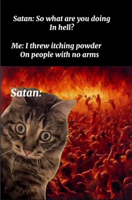 En bild med texten om en humoristisk konversation i helvetet, med en förvånad katt i förgrunden och ett eldfängt inferno i bakgrunden.