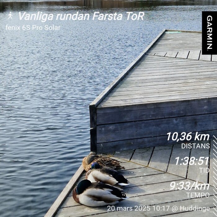 Träbrygga vid sjö med tre änder på bryggan. Text anger löpstatistik: distans 10,36 km, tid 1:38:51, tempo 9:33/km, datum 20 mars 2025.