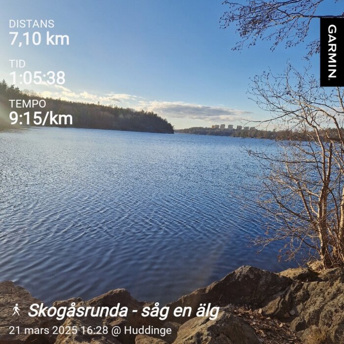Vy över en sjö med träd och klippor i förgrunden, skog i bakgrunden. Garmin-information visar en löptur i Huddinge.