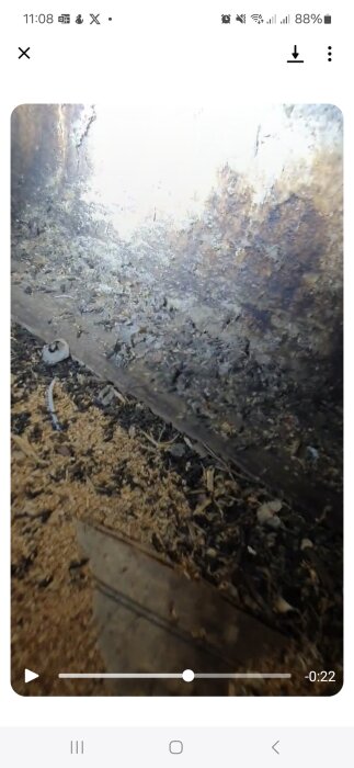 Missfärgad murstock på vinden med mörka områden och skräp på golvet, potentiellt musbajs, undersöks för vattenläckage eller fladdermusspillning.