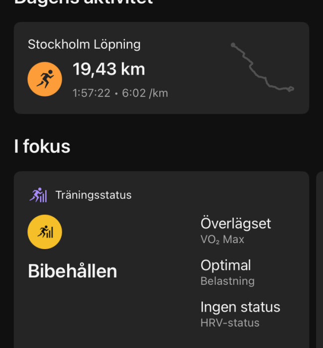 Skärmbild av en löparapp med statistik: 19,43 km löpning, tid 1:57:22, tempo 6:02/km. Träningsstatus: Bibehållen, VO2 Max: Överlägset, Belastning: Optimal.