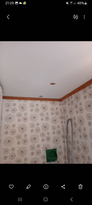Fläckar i vitt tak inomhus, troligen orsakade av vattenläckage, med mönstrad vägg och grön detalj på bilden.