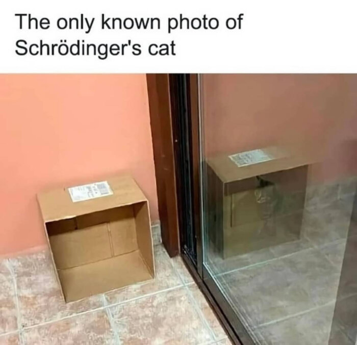 Tom kartong vid vägg och glasdörr med reflektion som ger intrycket av en kartong i glaset, text ovan: "The only known photo of Schrödinger's cat.
