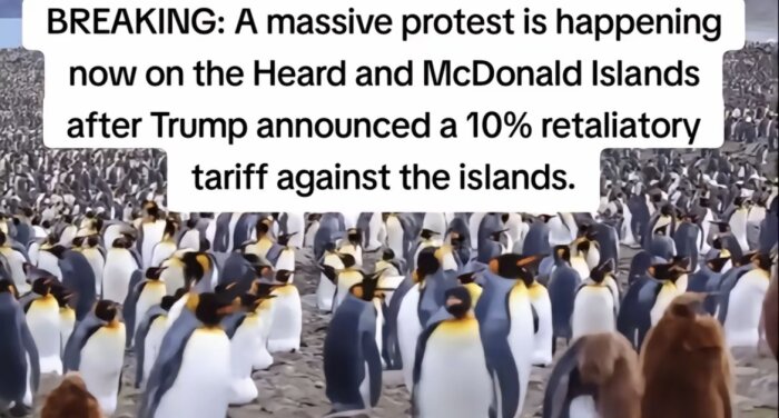 En stor samling av pingviner står tätt tillsammans på en stenig strand, under en himmel med text om protester.