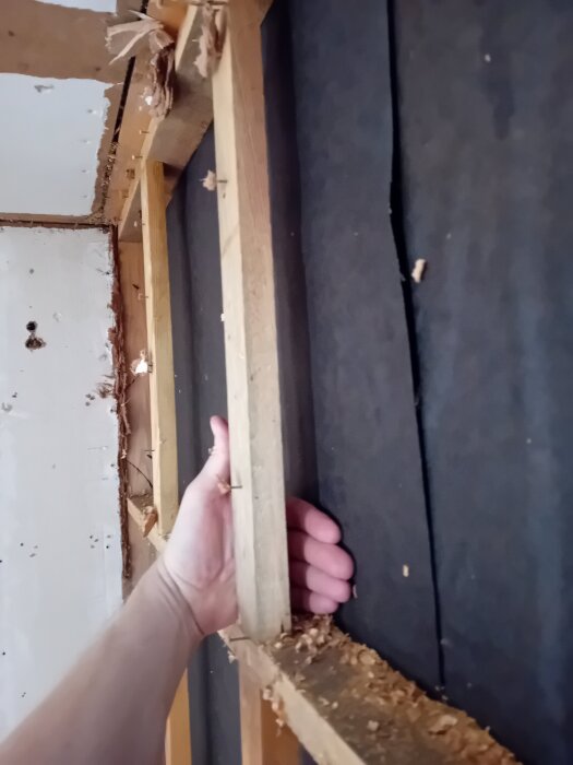 Hand håller i en träregel, del av en väggkonstruktion med synligt träspån och mörkt bakgrundsmaterial.