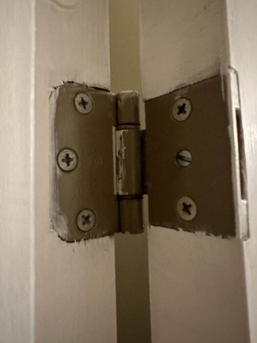 Gångjärn på en vitmålad dörrkarm, skruvar synliga mellan dörr och karm.