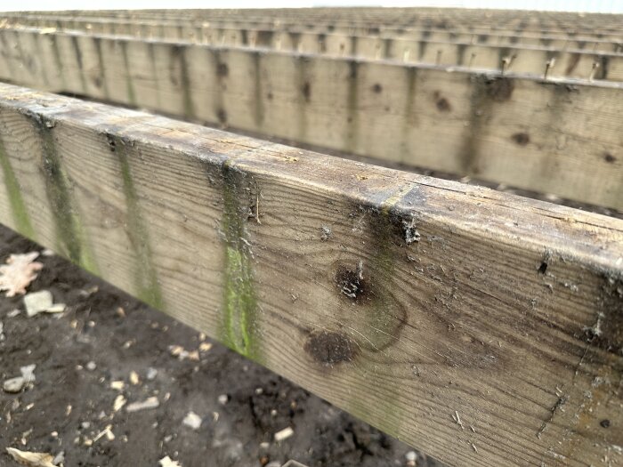 Närbild av träregel på altan från 1998, med synliga ådringar och slitage, samt svagt grönaktig beläggning i fåra, mark syns under.