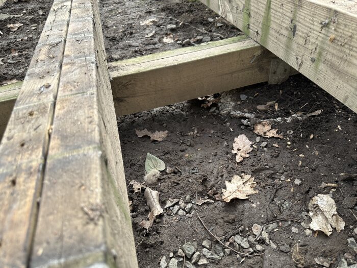 Träregel och bärlina i en rivningsyta, med jord och löv omkring, sedd från sidan. Perfekt för att inspektera skicket av en gammal altan.