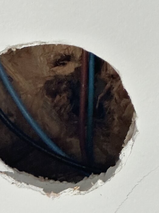 Rund hålighet i tak med synliga kablar, träflis och potentiellt gnagda spår, misstänkta för att orsakas av husbock eller andra skadedjur.