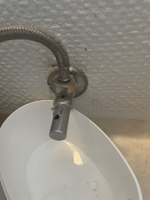 Flexibel metallslang kopplad till en väggmonterad vattenanslutning ovan en vit plastbehållare.