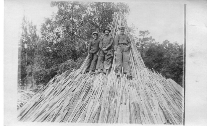 Tre män står på en kolmila omgiven av träd, klädda i arbetskläder från början av 1900-talet.