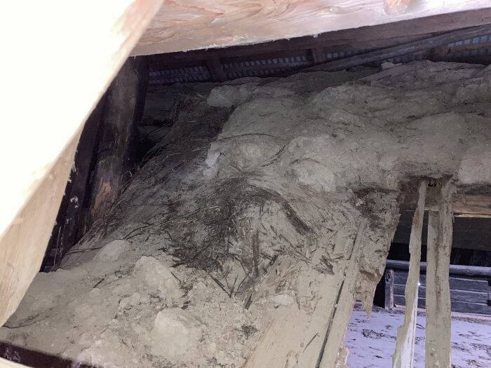 Torv och byggmaterial ovanför mellantaket i en ria.