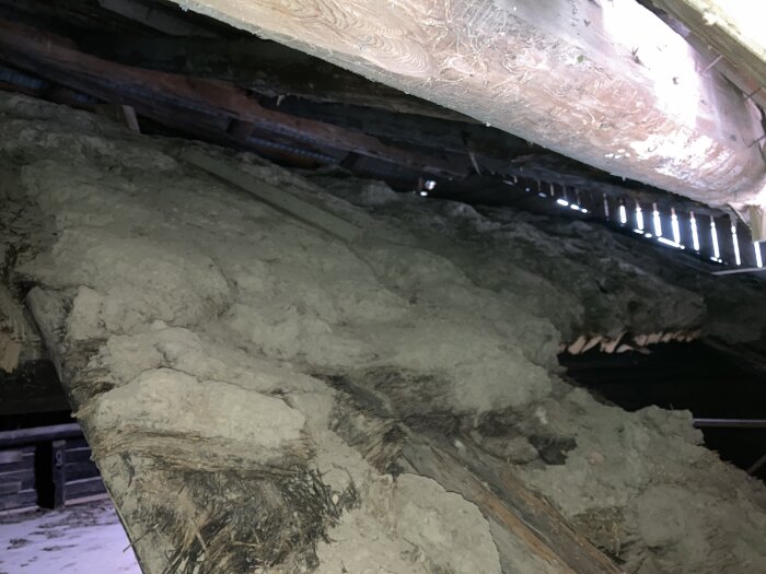 Torv ovanpå mellantaket i en rian under renovering, med exponerade träbjälkar ovanför.