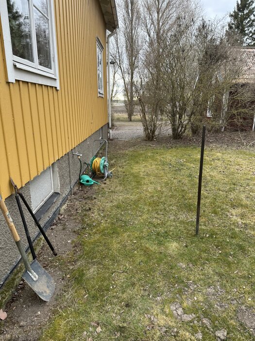 Gul husvägg med platonmatta synlig vid grunden, trädgårdsslang och spadar ställda mot väggen, gräsmatta med lätt lutning bort från huset.