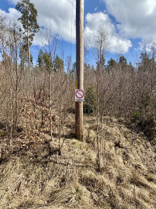 Telefonstolpe med skylt "No Photography" i skogsmiljö, omringad av buskar och träd under en himmel med moln.