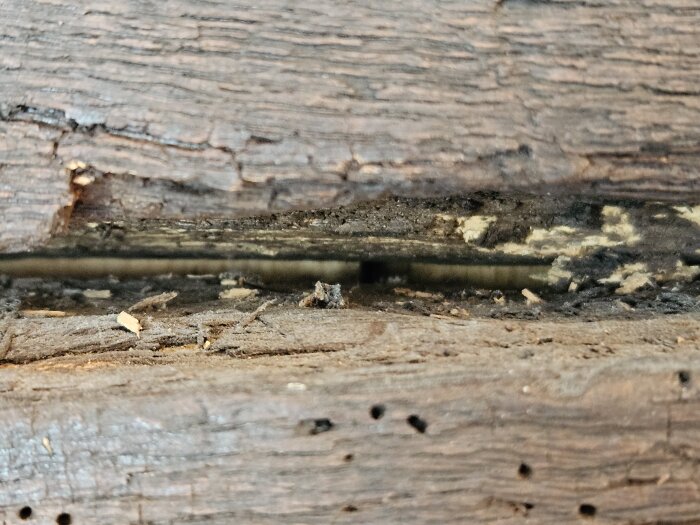 Närbild på en träspringa som potentiellt behöver tätas, med gammalt trä och spår av skadad yta, fångad genom värmekamera.