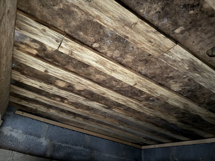 Missfärgad asfaboard under träreglar i en grund, möjligt orsakat av markfukt. Både missfärgning och intakta reglar synliga.