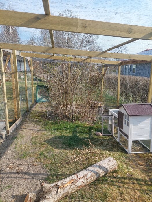 Trädgård med nätöverdrag, ett trästaket och ett vitt kaninhus med bruna detaljer. Gräs och en stock ligger på marken.