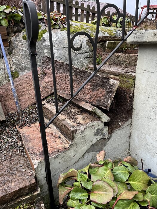 Stenlagda trappsteg med söndrigt räcke och mur, omgiven av grönska, innan dräneringsarbete 2023.