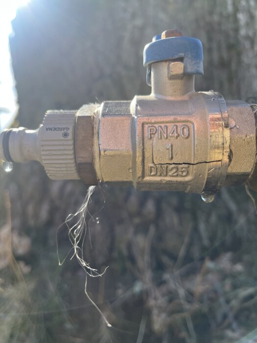 Sprucken vattenpost med PN40-märkning, stående utomhus, med en läcka som droppar vatten. Bakgrund med oskarpa träd och solljus.