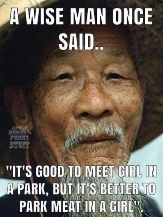 En äldre man med skägg tillsammans med texten "A wise man once said.." följt av ett citat.