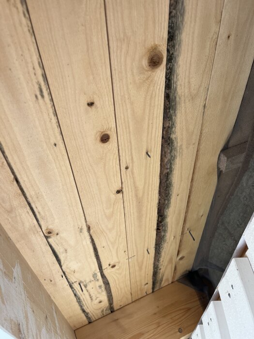 Missfärgad råspont med mörka fläckar, eventuellt mögel, syns i takfot vid bygge av attefallshus. Visar potentiell fuktproblematik.