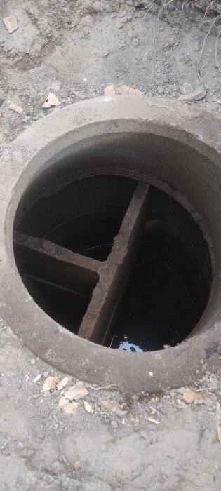 Gammal trekammarbrunn i betong med skiljeväggar, sett ovanifrån. Omgiven av jord och löv.