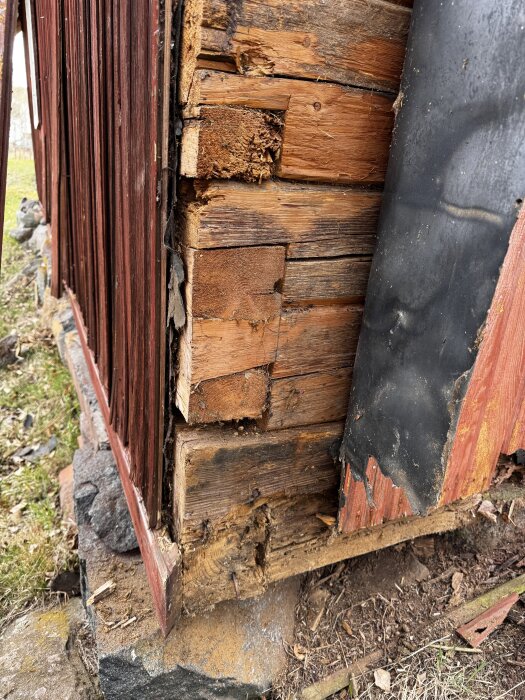 Nedersta stockraden på ett gammalt torp visar tydlig röta och förfall, med intakta stockar ovanför och en del av fasaden i bild.
