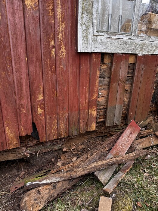Gammalt torp med rötskador i nedersta timmerraden och skadad fasadpanel, rutten träbit ligger på marken bredvid väggen.
