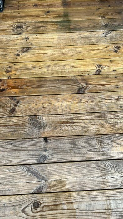 Trädäck med synliga träådringar och ojämn färg.