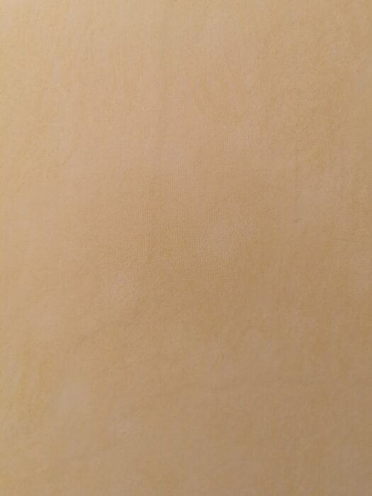 image-8880503743585697605.jpg