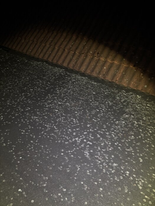 Vått tak med självhäftande takpapp i dåligt ljus, synliga fläckar och gamla takpannor i bakgrunden.