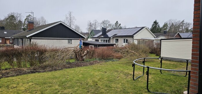 Trädgårdstomt med grönt gräs och ett beskurit träd, med hus i bakgrunden under en molnig himmel.