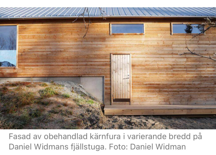 Fasad av obehandlad kärnfura med varierande brädor och en dörr på en fjällstuga, belägen nära marken med ett modernt plåttak ovanpå.