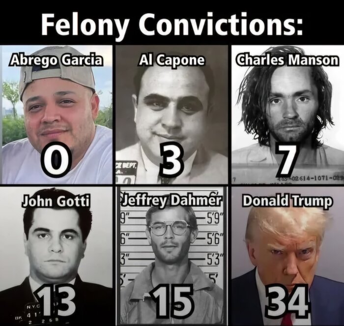 Galleri av personer med olika antal fällande domar: Abrego Garcia 0, Al Capone 3, Charles Manson 7, John Gotti 13, Jeffrey Dahmer 15, Donald Trump 34.