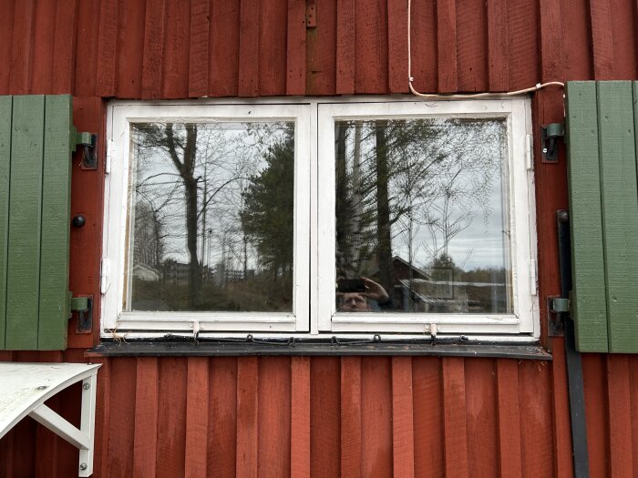IMG_0616.jpeg