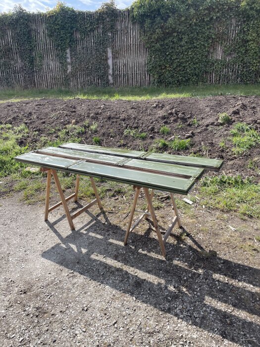 Gröntjärade träplankor på bockar ute i trädgården, med en bakgrund av en grön mur och jord.