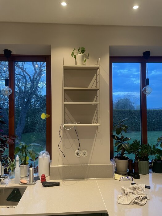 Vita hyllor monterade på vägg mellan två fönster i kök, med växter och köksartiklar på bänkskivan, mot en kvällshimmel.