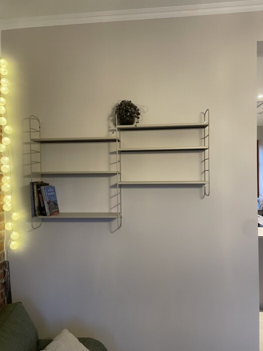 Vägghyllor installerade på en beige vägg, med en krukväxt och några böcker placerade på dem.