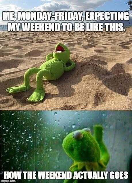 Meme med groda: Första bild grodan som kopplar av på stranden, andra bild i regn mot fönster, text om förväntningar vs verklighet på helgen.