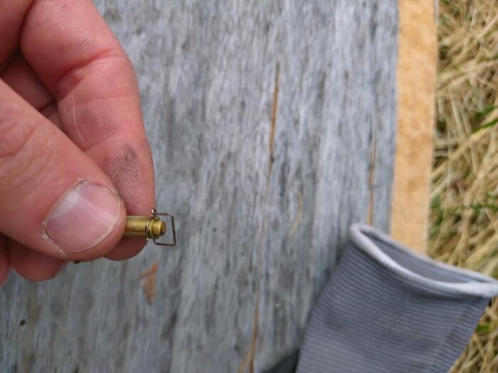 Person håller i en förgasarnål mot en träbakgrund, med gräs och en grå ärm synlig i bakgrunden.