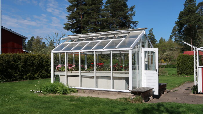 Ett träväxthus med kanalplasttak och glasväggar på en grönskande trädgård, omgiven av barrträd och byggnader.