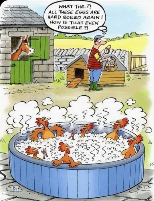 Man vid hönshus förvånad över hårdkokta ägg; ser hönor i kokande bad. Häst tittar på från stallet. Tecknad humorbild.