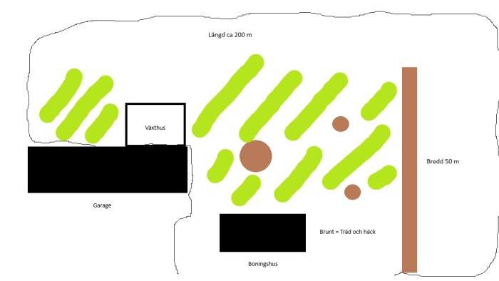 Skiss över tomt med växthus, garage, boningshus, gröna ytor för blommor och bruna områden för träd samt häck. Tomtens längd 200 m, bredd 50 m.